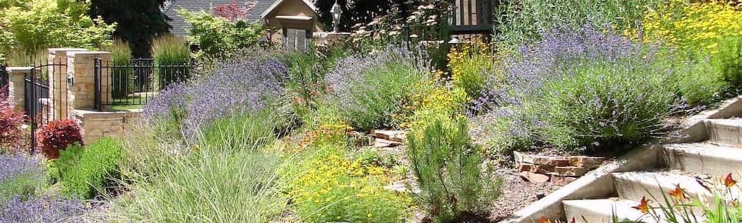 RHB Assets From IGX: Beautiful xeriscaped garden with drought-tolerant plants and rocks.