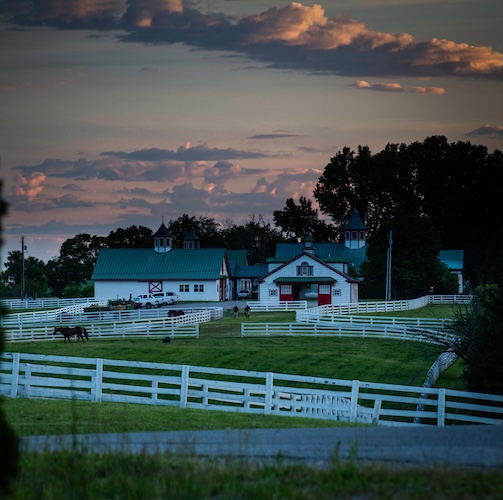 Large home in Kentucky with stables and horses at sunset.