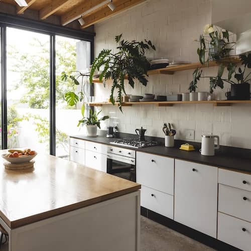 Open concept minimalist kitchen with house plants opening up into outdoor area with green space.