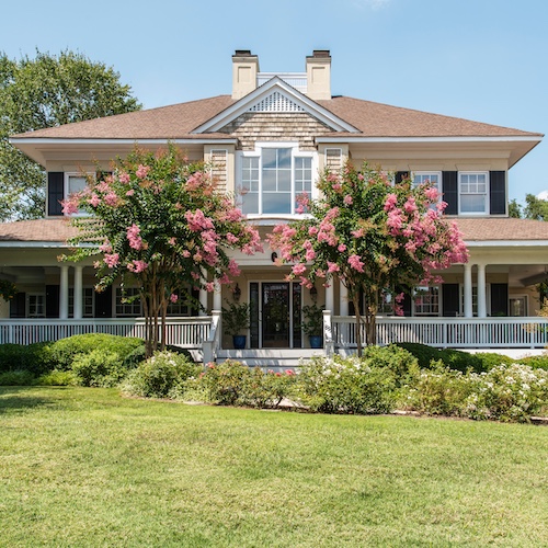 Exterior of a southern home with large pink flowers on bushes.