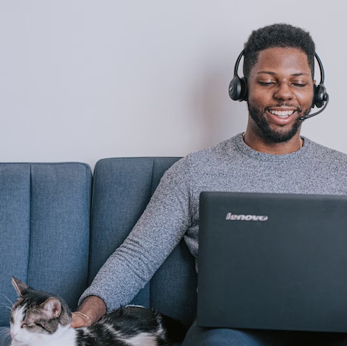 Man patting cat while using laptop.