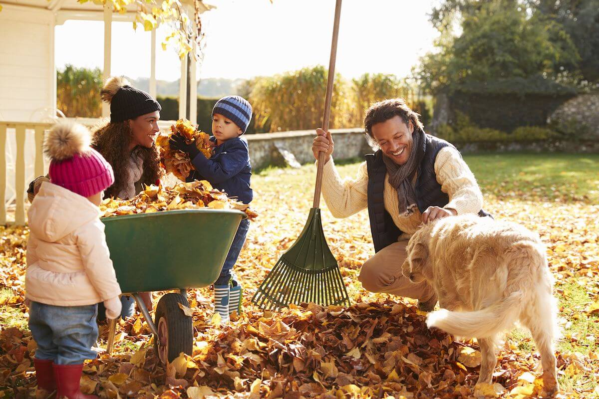 RHB Assets From IGX: A happy family raking leaves in their yard during autumn.