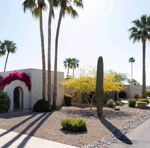 Arizona southwest style stucco white homes with Cacti and palm trees.