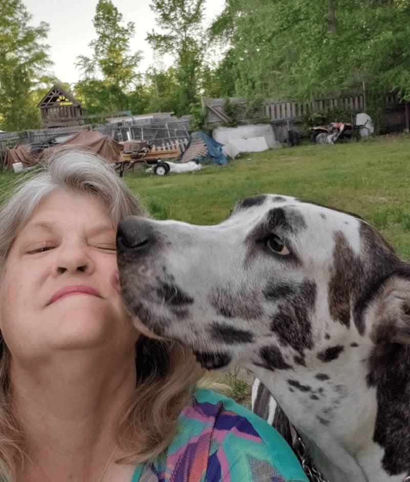 Woman smiling as her large black and white dog kisses her cheek.