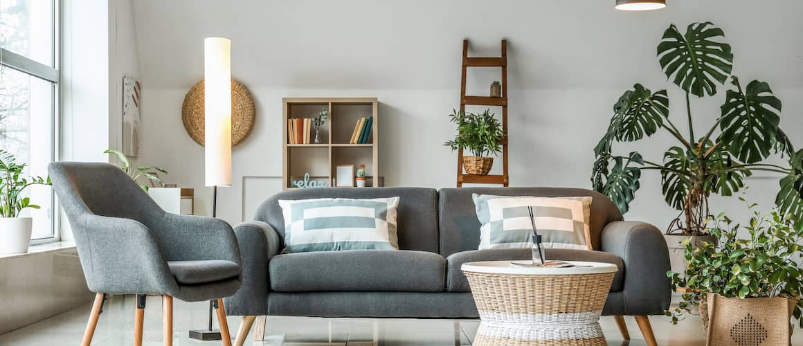 A well-lit living room with tasteful grey furniture and green plants.