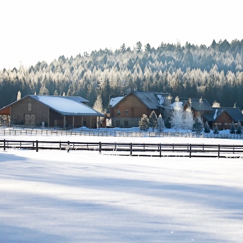Large homestead in Montana during winter with snowy pines behind.