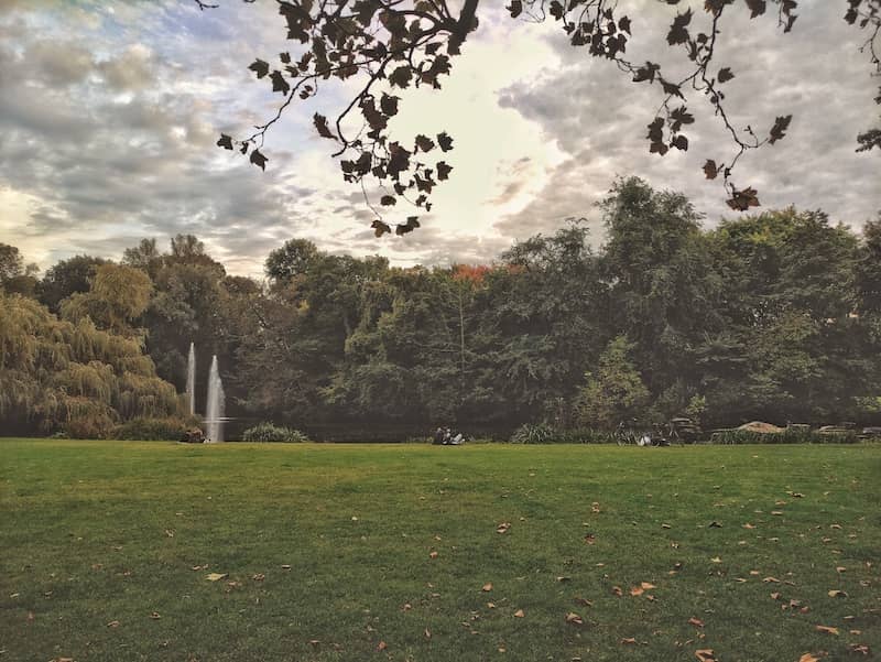 Beautiful Trees and Grass Cloudy Sky Fallen Leaves