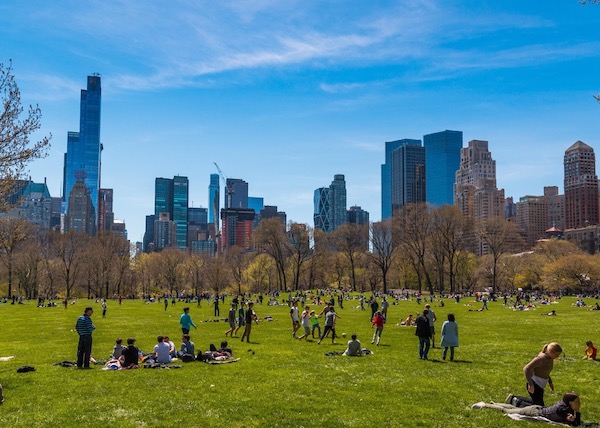 People gathered in Sheep Meadow in Central Park.