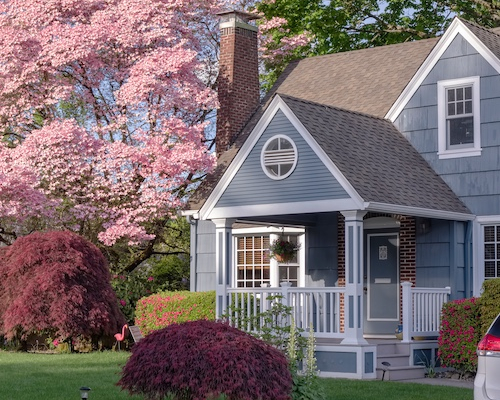 Blue house with pink cherry blossom tree in background.
