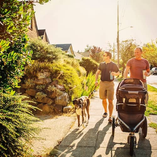 Two guys walking their dog and child in a stroller in a lushly landscaped neighborhood.