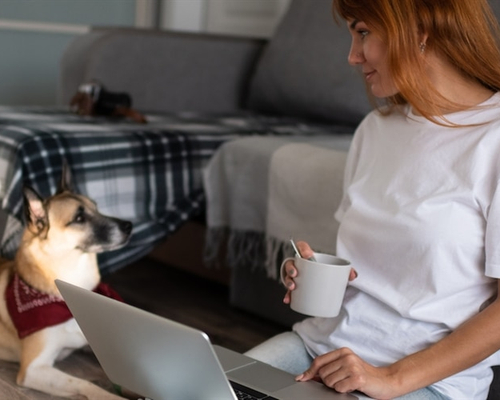 Image of girl on computer viewing loan options next to dog.