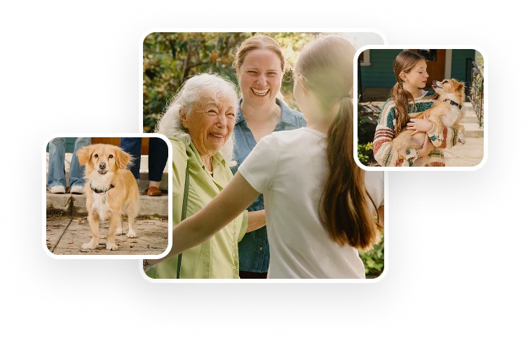 A collage of family photos featuring playful outdoor moments with parents and a child.