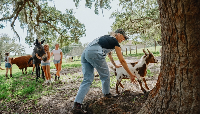 Woman in overalls ushering goats while kids usher donkeys behind them.