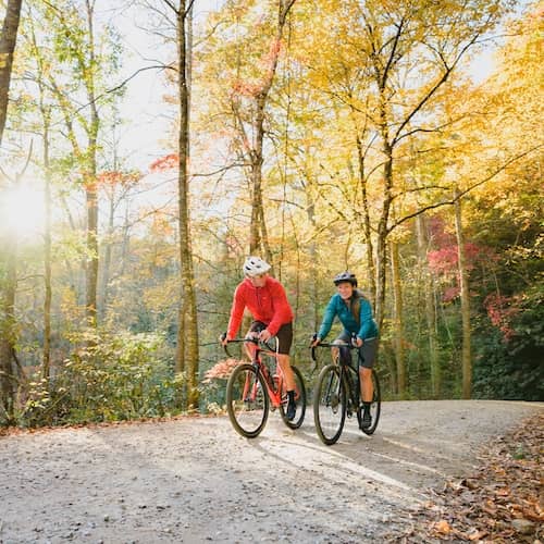 Couple biking in wooded trails.