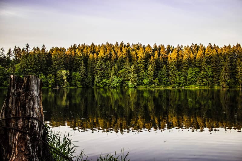 RHB Assets From IGX: A serene lake surrounded by trees in Camas, Washington.