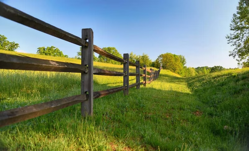 Rustic wooden fence