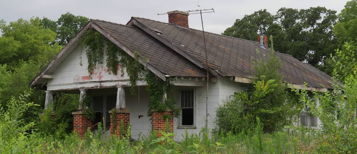 An abandoned house surrounded by dense foliage.