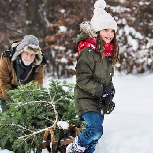RHB Assets From IGX: An eco-friendly Christmas tree
