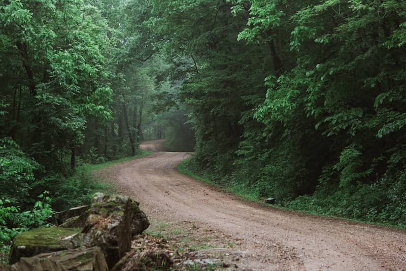 Curvy tree lined dirt road in Arkansas.