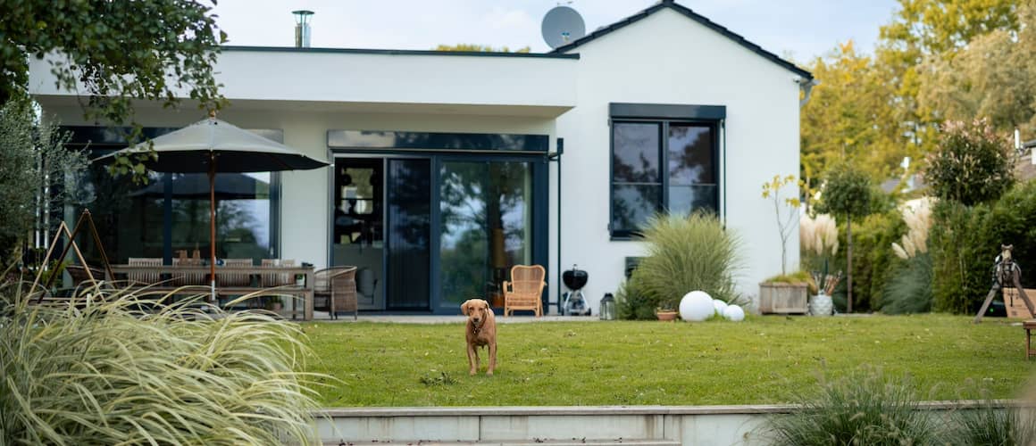 Backyard of a house with dog in backyard.