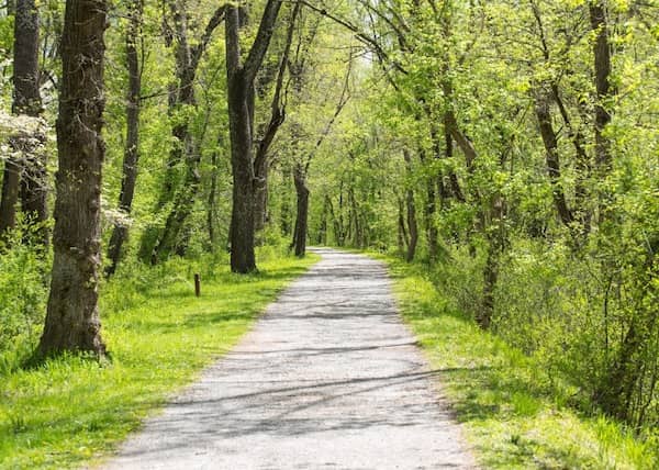 The Chesapeake and Ohio Canal Towpath on a spring day.