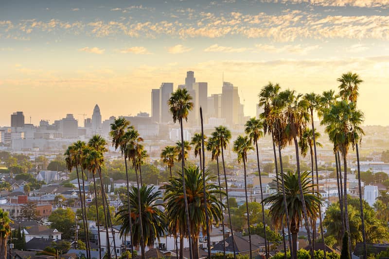 RHB Assets From IGX: Aerial view of Los Angeles, California, with city skyline and palm trees.