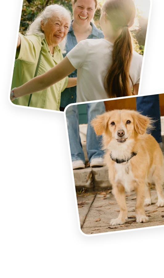 A collage of family photos featuring playful outdoor moments with parents and a child.