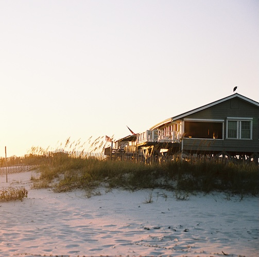Raised house on sandy beach in Alabama with heron on roof.