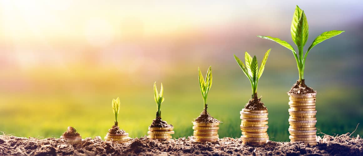 Six stacks of coins, each one progressively larger than the previous. Each stack has a plant on top, and the plants are all progressively larger than the last one.