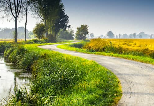 Illustration of a field side with a road beside and stream flowing.