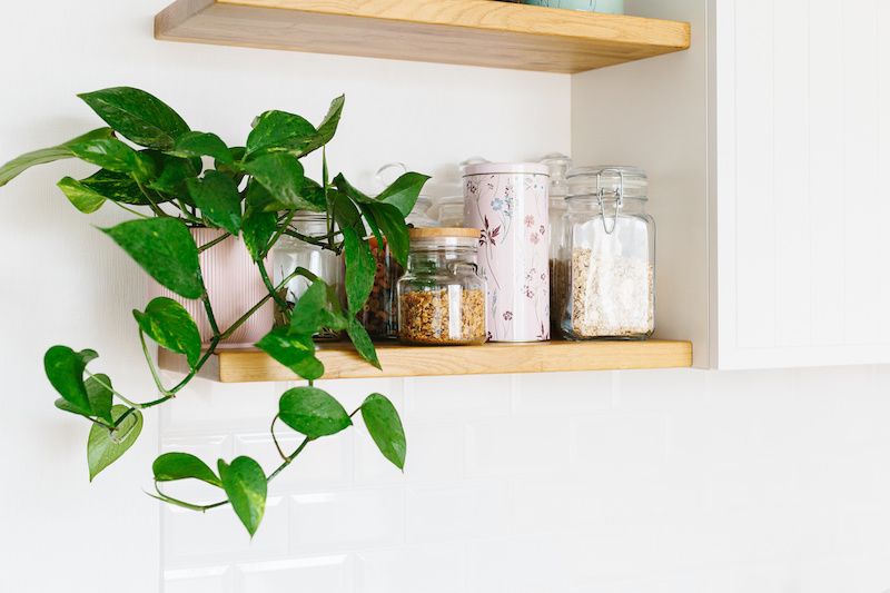 RHB Assets From IGX: A healthy pothos plant in a white pot on a wooden surface.