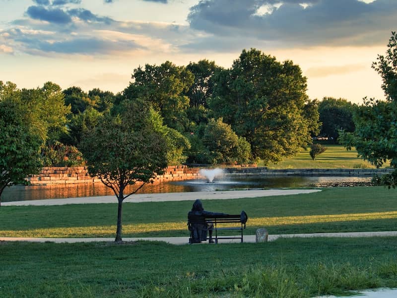Person sitting at a bench in the park next to a small tree.