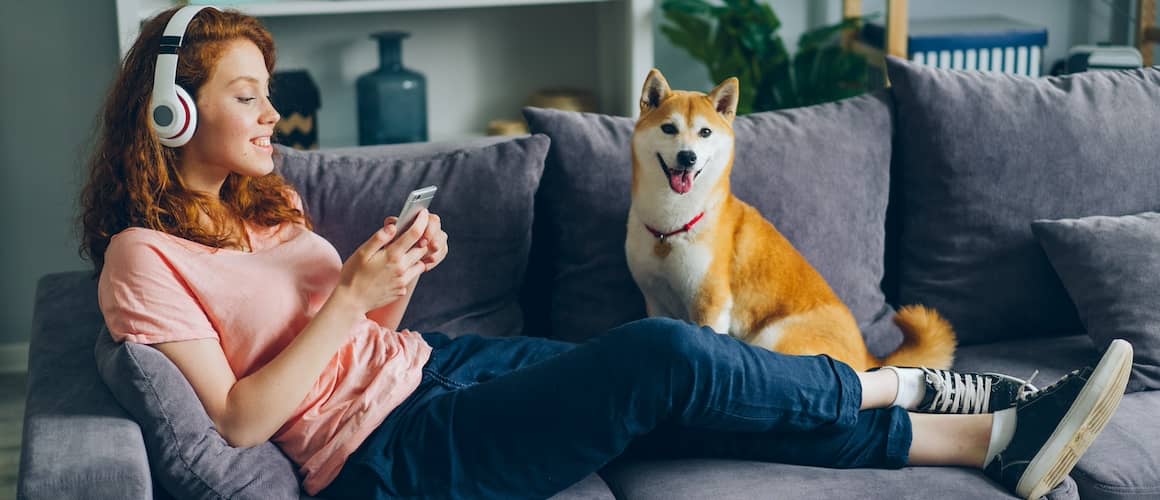 Joyful female student in headphones is listening to music and using smartphone sitting on couch with adoranle well-bred dog. 