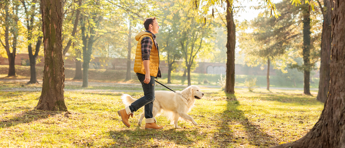 Stock-Man-Walking-Dog-In-Park-AdobeStock-95453387-copy.jpeg