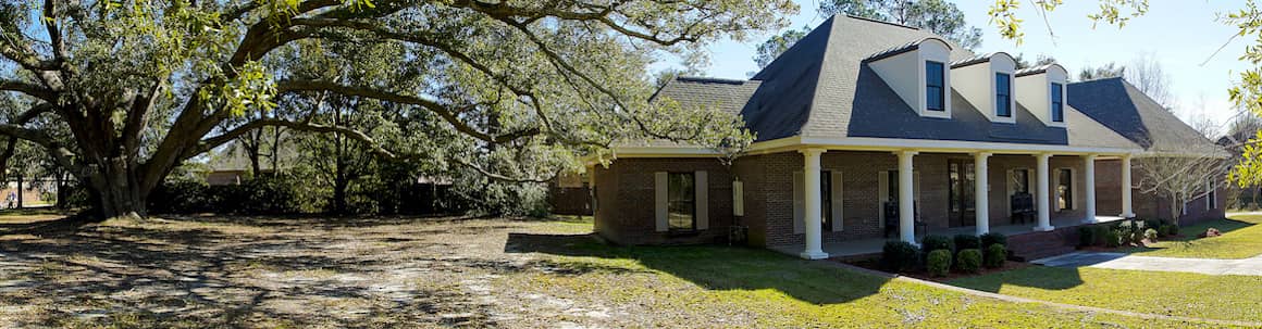 Rain garden in a residential backyard