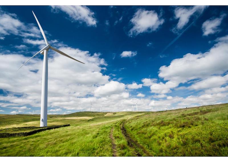 Wind turbines in large green field .