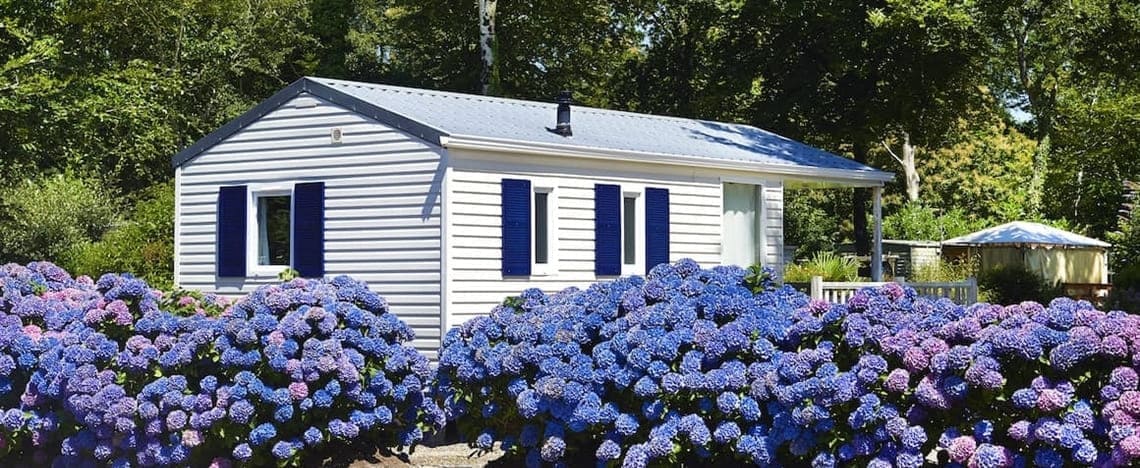 A small white and dark blue colored house with indigo colored flowers outside.
