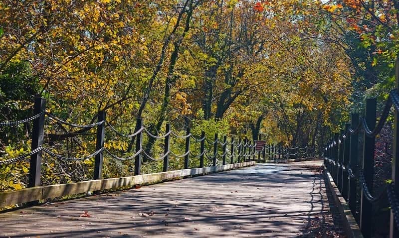 RHB Assets From IGX: Bike trail in Arlington, VA with surrounding greenery.