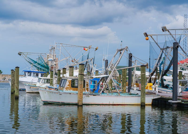 View of a harbor with fishing boats.