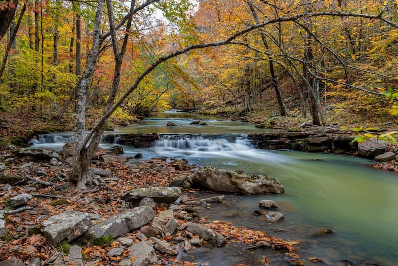 Stream running through Ozark Forest in Arkansas during autumn.