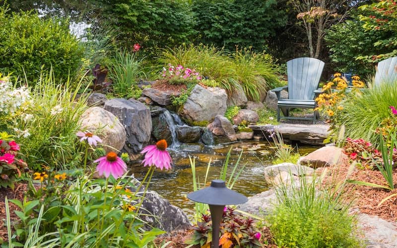 Water garden surrounded by flowers and  a wooden chair.