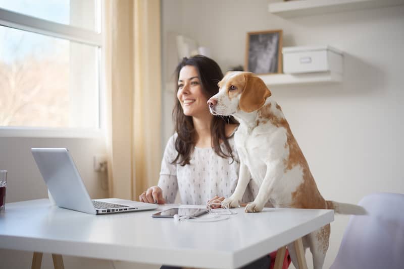 Women with dog in a neutral painted room 