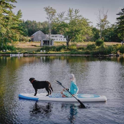 Woman on blue and white paddle board with large black dog.