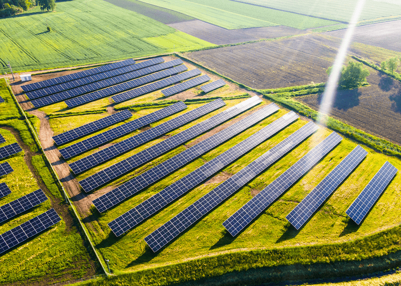 Solar panels in a large field.