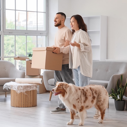 Young couple moving into new, spacious home with Australian shepherd.