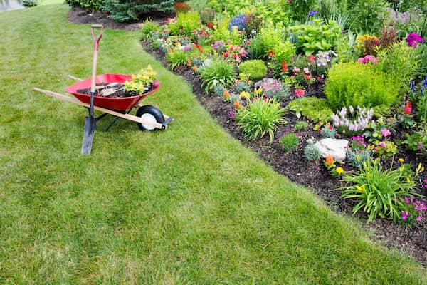 Red wheelbarrow and shovel next to a backyard garden.