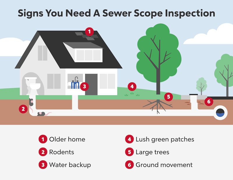 Infographic showing signs you need a sewer scope inspection.