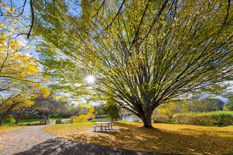 RHB Assets From IGX: Lush green park in Beaverton, Oregon, with walking paths and benches.