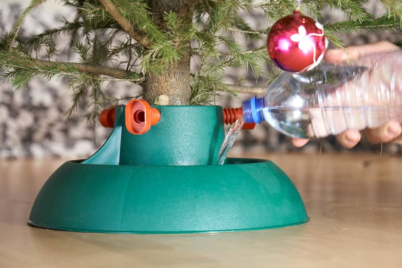 RHB Assets From IGX: Christmas tree stand with water to ensure proper hydration.