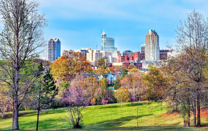 RHB Assets From IGX: Raleigh North Carolina park and skyline